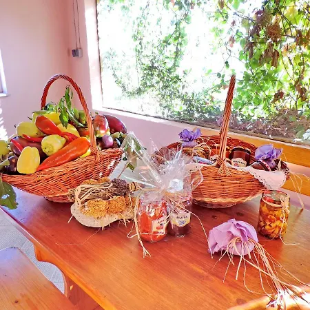 Holiday Kamenica Holiday home
