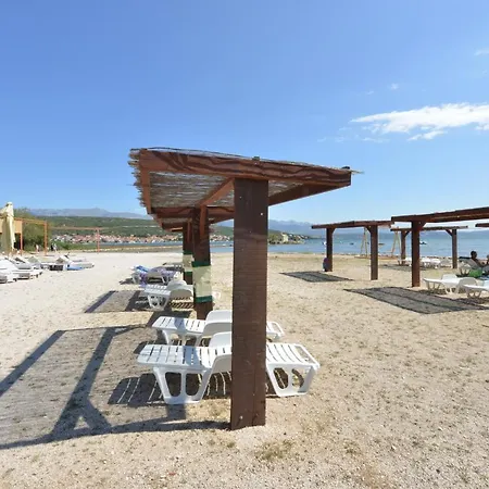 Holiday Kamenica